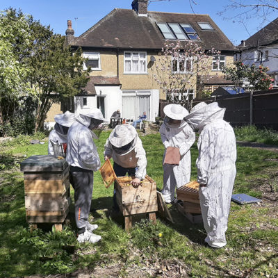 Kairos Community Trust beekeepers