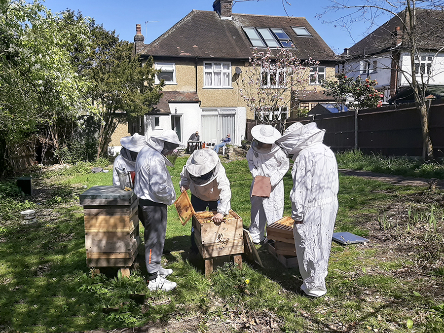 Kairos Community Trust beekeepers