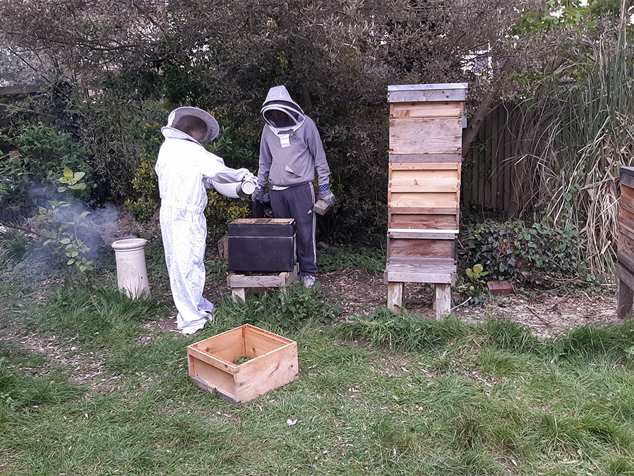 Kairos Community Trust beekeepers