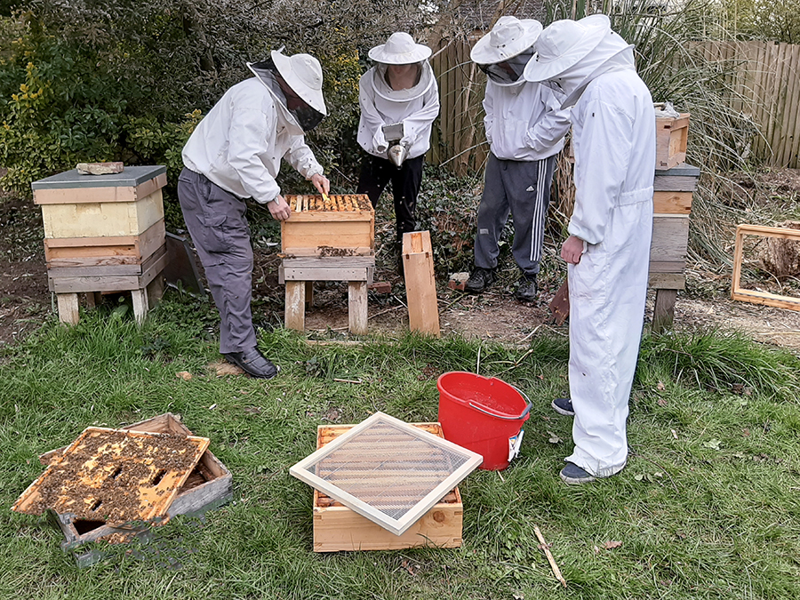 Kairos Community Trust beekeepers