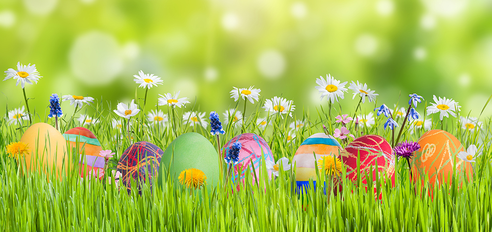 Easter,Nature,Holiday,Background,With,Eggs,And,Flowers