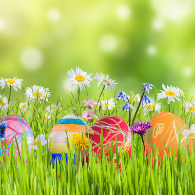 Easter,Nature,Holiday,Background,With,Eggs,And,Flowers