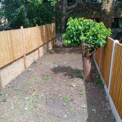 wGarden cleared